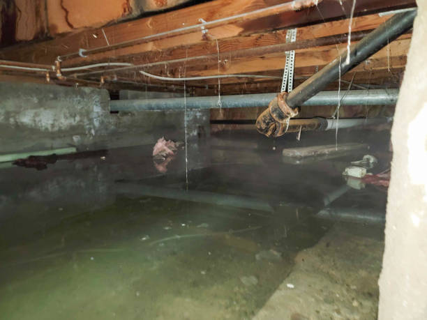 Best Residential water damage restoration  in Lawrence, NY