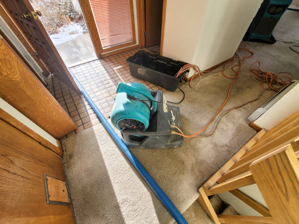 Best Mold removal after water damage  in Lawrence, NY