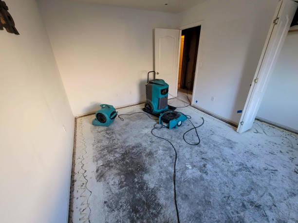 Best Water damage cleanup near me  in Lawrence, NY