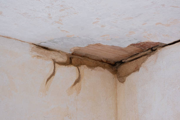 Best Flooded house restoration  in Lawrence, NY