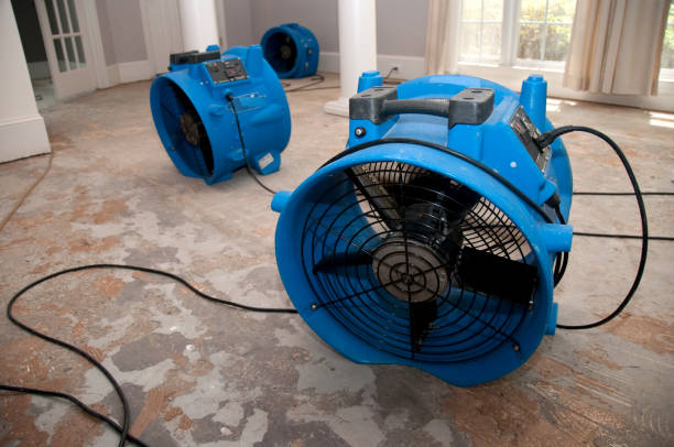 Best Sewage cleanup and water damage restoration  in Lawrence, NY