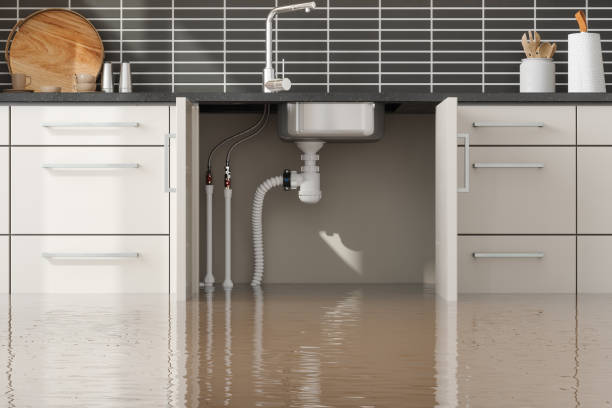 Best Water damage cleanup near me  in Lawrence, NY